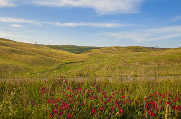 Tuscany hills and meadow, summer in Italy