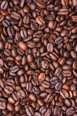 Fototapeta premium coffee beans