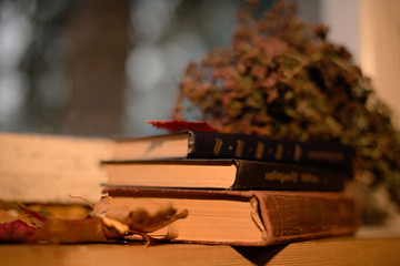 Autumn still life from books on the windowsill