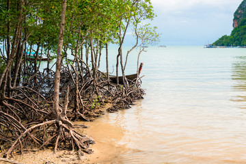 A picturesque tropical creek and a rainy sky above the sea