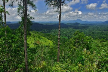 Cockscomb Basin Wildlife Preserve (Belize)