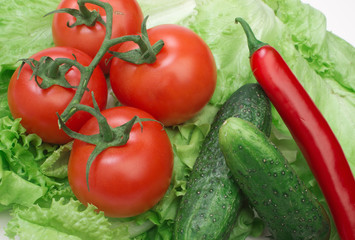 Tomato, cucumber and cayenne pepper