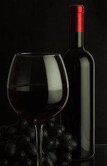 bottle of wine and grapes