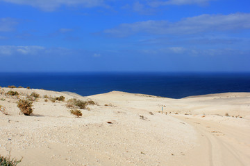 Sanddünen mit Meer - Fuerteventura