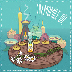 Glass Flacon of Chamomile oil and flowers of Asteraceae plant. Fragrances essential oil in diffuser. Natural vegetable oil used for aromatherapy