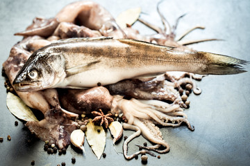 squid and fish on black background