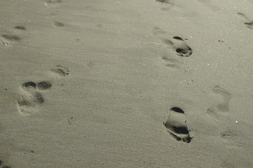Footsteps in wet sand