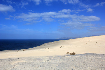 Dünen am Atlantik - Fuerteventura
