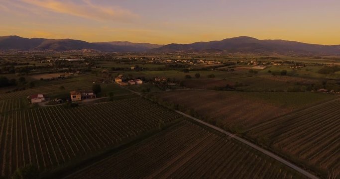 Aerial footage, gorgeous vineyards on sunset in Tuscany, Italy, 4K