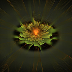 abstrakt blüte blume fraktal glühen