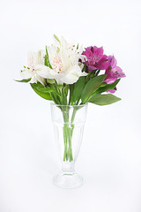 Obraz premium bouquet of alstroemeria
