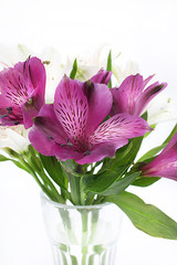 bouquet of alstroemeria