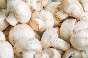 Fototapeta premium mushrooms close up