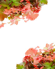 arrière-plan d'automne,branches et feuilles rouge