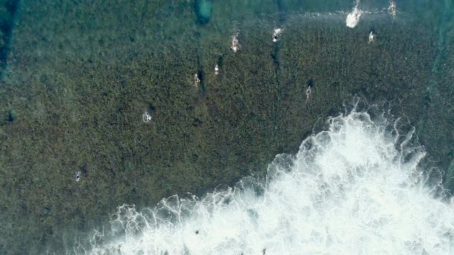 Surfers from Bird's Eye View in Clear Water Waiting for Waves to Surf