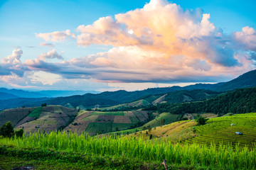 Green Terraced Rice Field in Pa Pong Pieng , Mae Chaem, Chiang Mai, Thailand