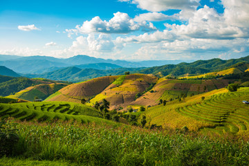 Fototapeta na wymiar Green Terraced Rice Field in Pa Pong Pieng , Mae Chaem, Chiang Mai, Thailand