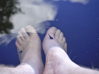 Feet in water with blue sky reflection. Baby frogs sucking.