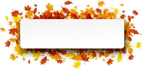 Fototapeta na wymiar Autumn banner with orange leaves.