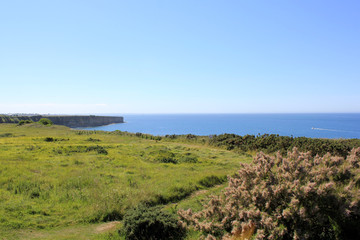 view from the beach