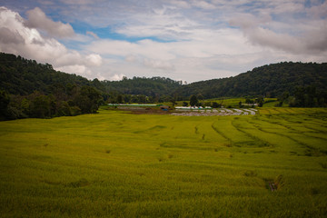 Fototapeta premium Green Terraced Rice Field in, Mae Chaem, Chiang Mai, Thailand