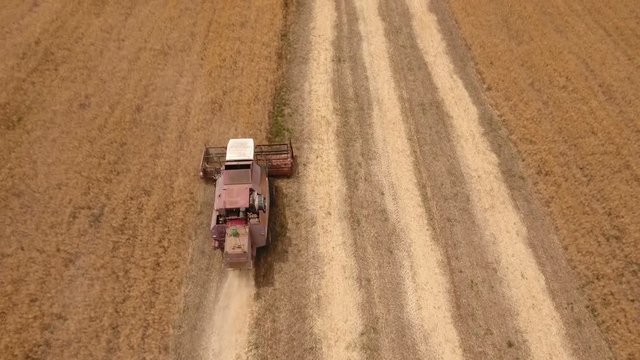 Astonishing bird`s eye view of an old chap working on a combine harvester and reaping golden wheat on a boundless field in Ukraine on a sunny day in summer. The landscape is awesome