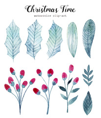 Watercolor illustrations with christmas leaves and flowers. Hand drawn christmas elements