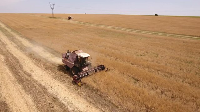 Picturesque bird`s eye view of an old chap combine harvester collecting ripe wheat in Ukraine in on a sunny day in summer. The golden wheat field looks great and exciting