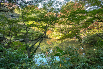 池田山公園
