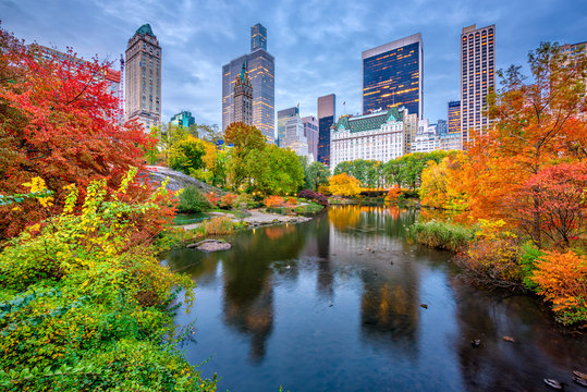 Central Park Autumn in New York City © SeanPavonePhoto