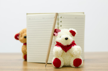 bear and note book