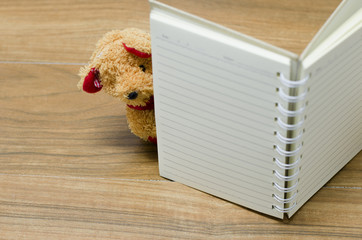 bear and note book