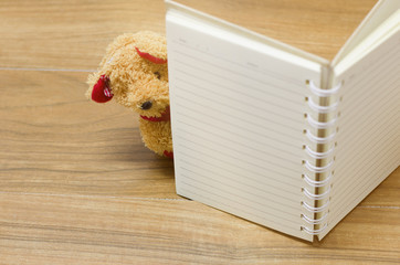 bear and note book