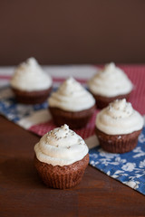 Chocolate cupcakes with cream cheese frosting