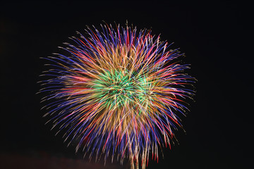 Colorful firework