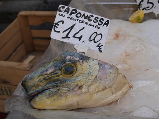 Fish Market - 170840323