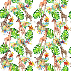 Exotic giraffe wild animal pattern in a watercolor style. Full name of the animal: camelopard. Aquarelle wild animal for background, texture, wrapper pattern or tattoo.