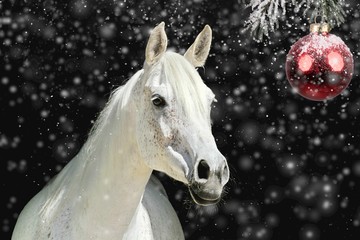 Weisses Pferd vor Weihnachtskugel