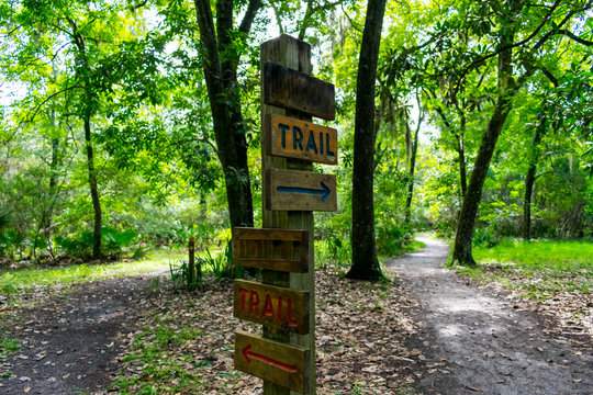 wooden trail sign where the nature path splits into two seen while hiking on a hot summer morning
