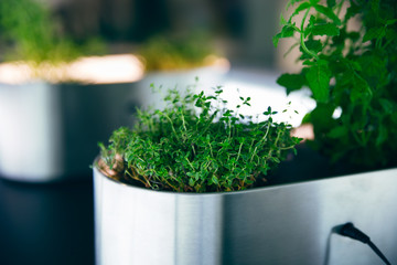 Smart herb garden