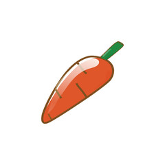 vector illustration of orange carrot vegetable