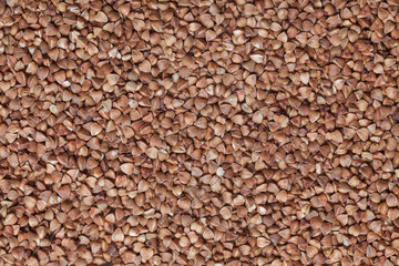 Brown buckwheat grains background closeup