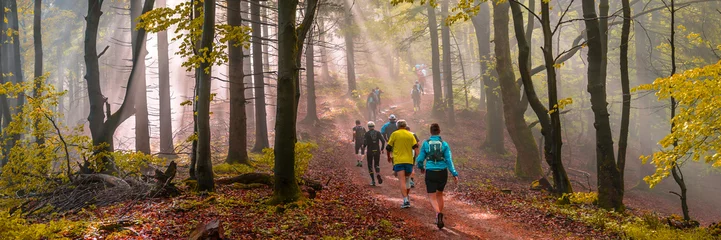 Papier Peint photo Jogging Jogging en automne, panorama forestier atmosphérique