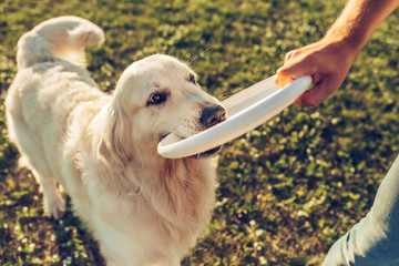 Man with dog