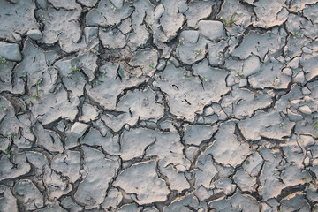 Cracked land texture