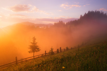 Mountain valley during sunrise