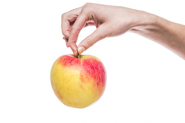 a female hand holds an apple