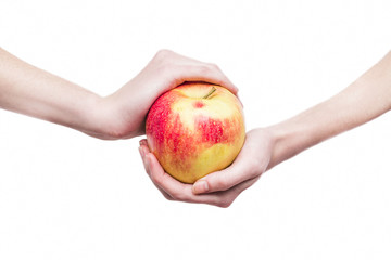 a female hands holds an apple