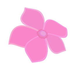 Fresh Pink Flower Vector