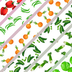 vegetarian healthy food. vegetables collection